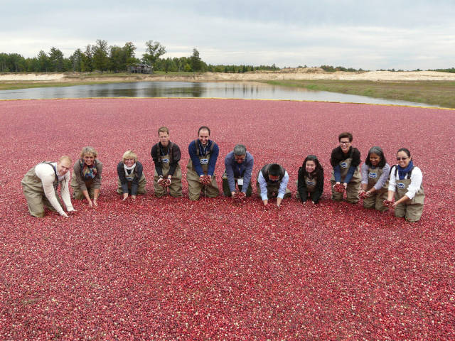 Best time for Wisconsin Cranberry Harvest in Midwest