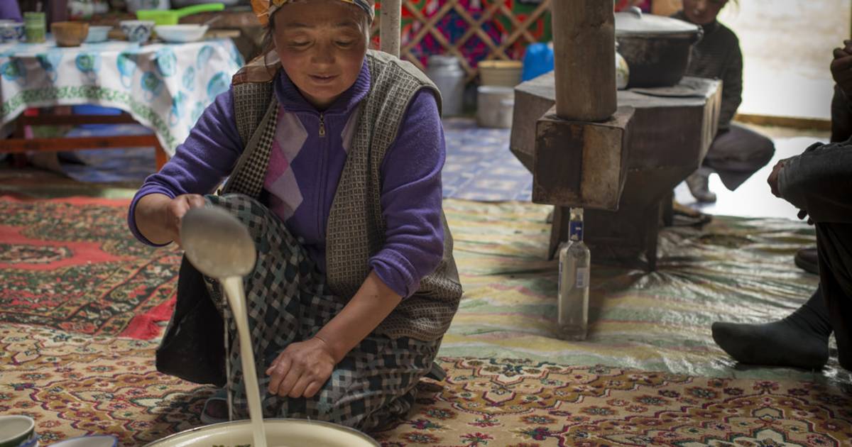 Arkhi or Mongolian Milk Wine in Mongolia - Best Time