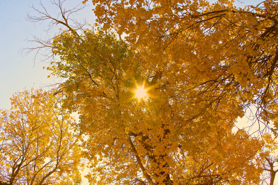 Best time for Autumn Colours in Mongolia