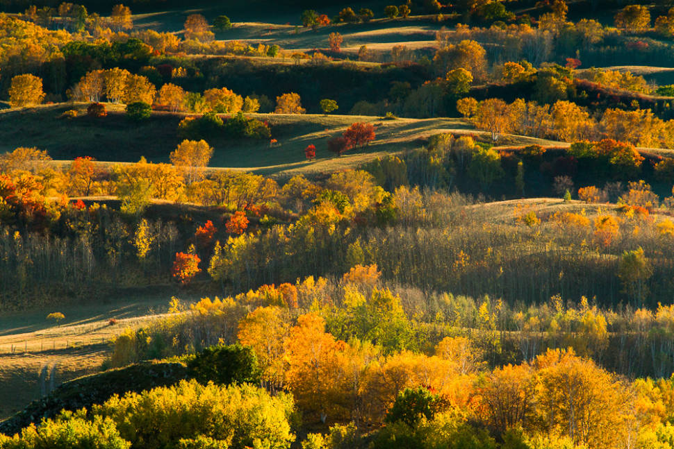 Autumn Colours in Mongolia - Best Time