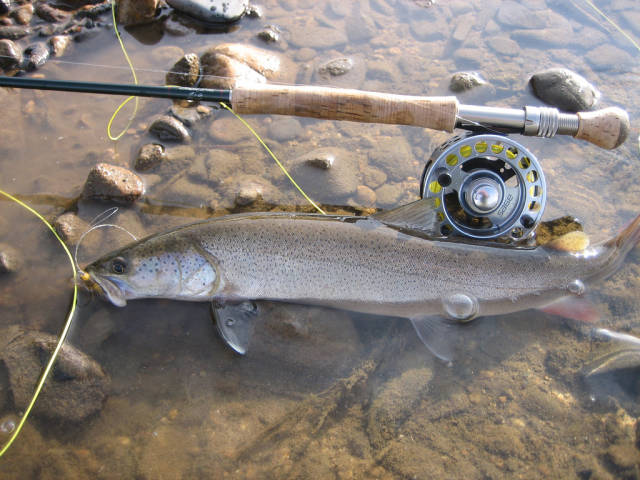 Fishing in Mongolia - Best Time