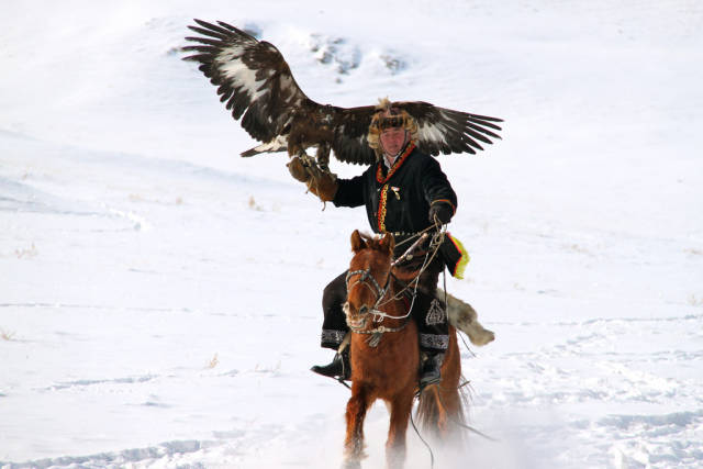 Hunting with Eagles in Mongolia - Best Time