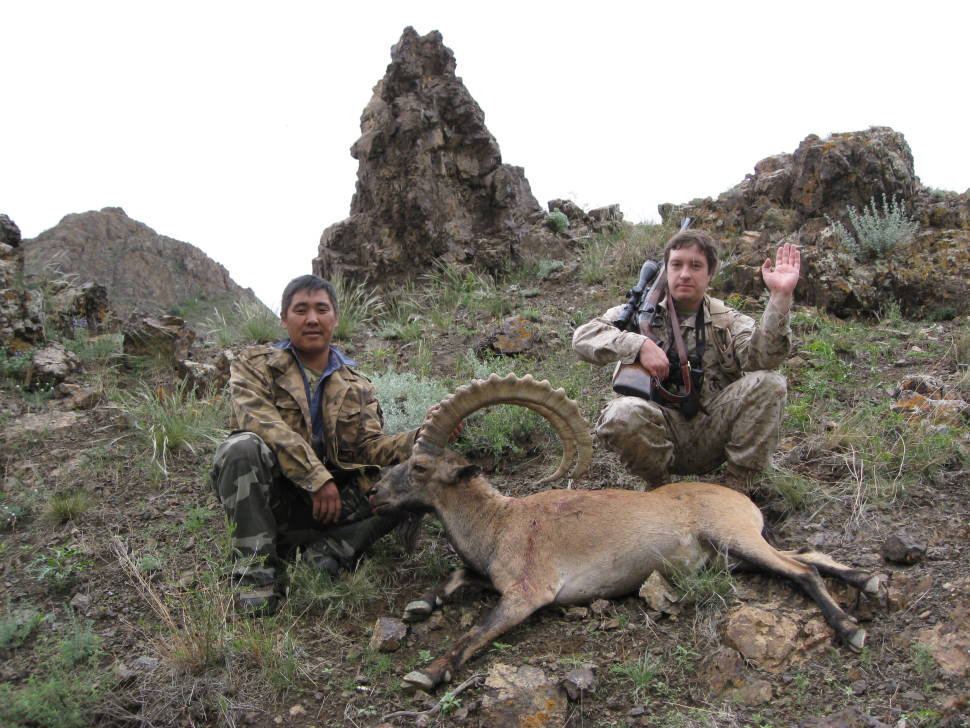 Trophy hunter with Syberian ibex (with 39 in horns) in Mongolian Gobi