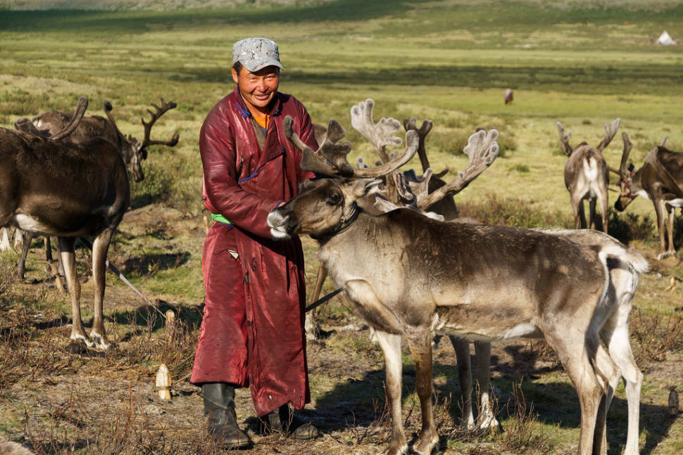 Best time to see Visiting Tsaatan Tribe in Mongolia