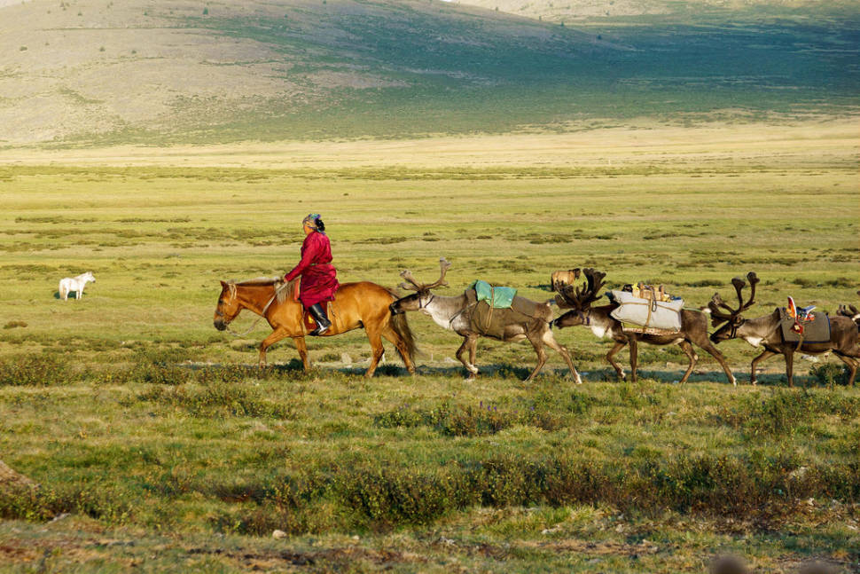 Best time for Visiting Tsaatan Tribe in Mongolia