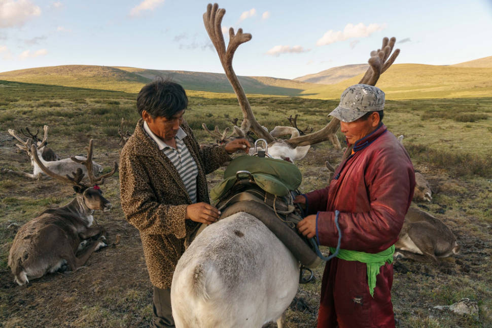 Visiting Tsaatan Tribe in Mongolia - Best Season
