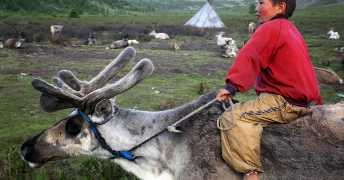 Visiting Tsaatan Tribe in Mongolia - Best Time