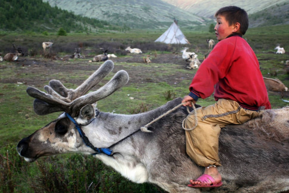 Visiting Tsaatan Tribe in Mongolia - Best Time