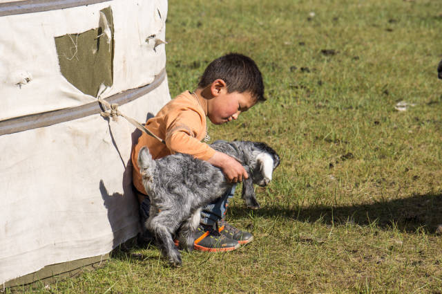 Nomad child with the baby goat