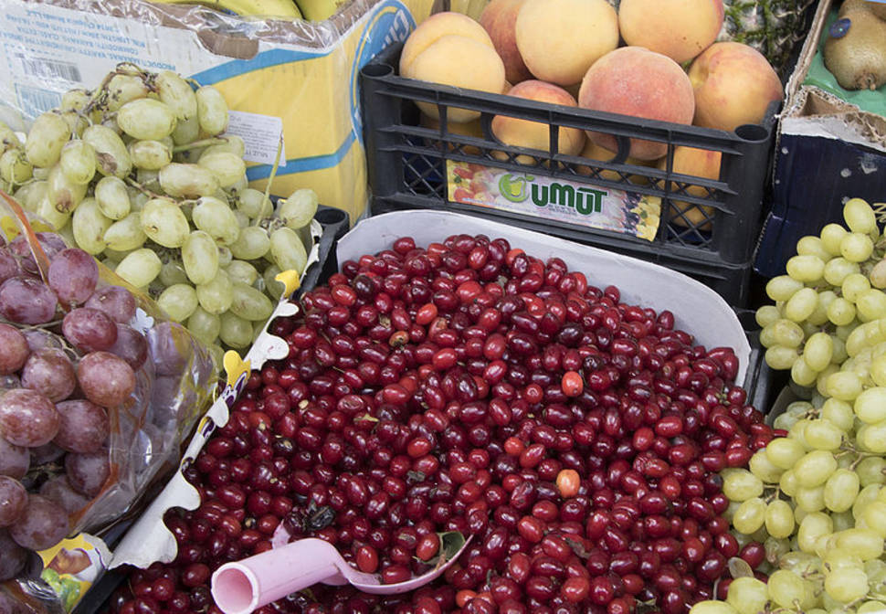 Cornelian Cherries or Drenjine in Montenegro - Best Season