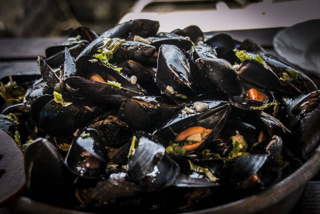 Mussels Season in Montenegro - Best Time