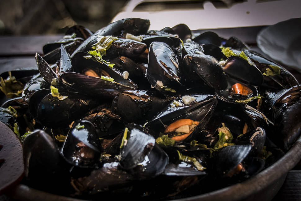 Mussels Season in Montenegro - Best Time
