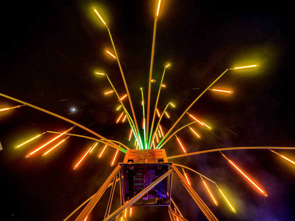 In the garden light during the sleepless night that concludes the "Montreal en Lumière" Festival