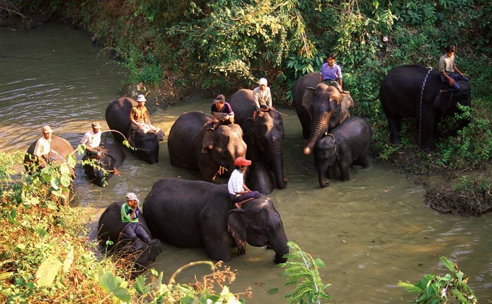 Best time for Alaungdaw Kathapa National Park in Myanmar