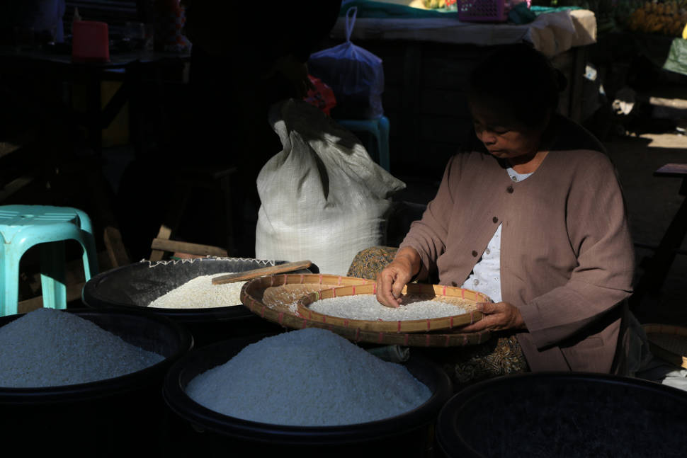 Rice Harvest in Myanmar - Best Season