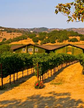 Best time to visit Napa Valley, CA