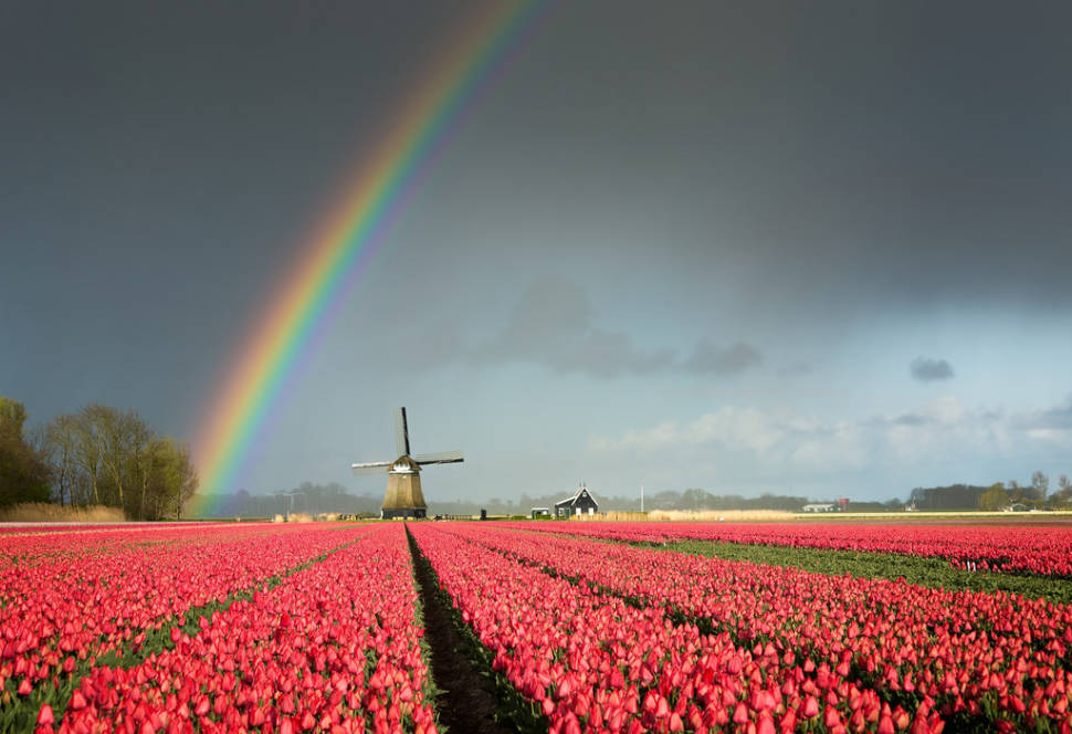 Best time for Keukenhof (Garden of Europe)