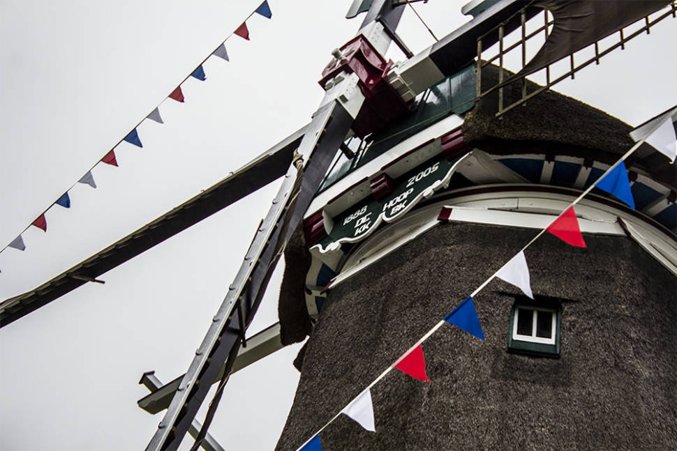 National Mill Day in The Netherlands - Best Season