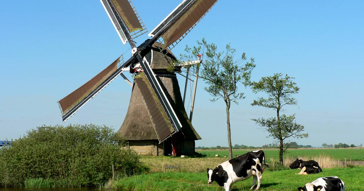 National Mill Day in The Netherlands - Best Time