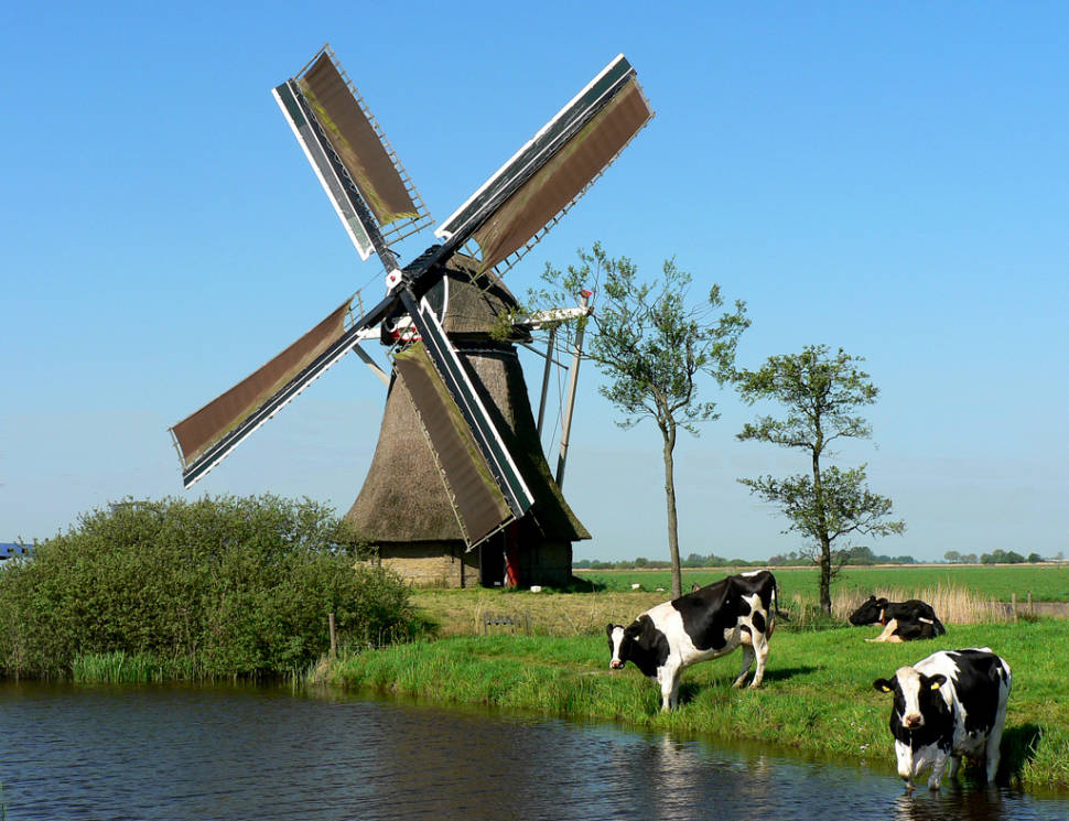 National Mill Day in The Netherlands - Best Time