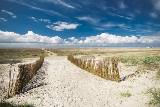 Best time to see Schiermonnikoog in The Netherlands