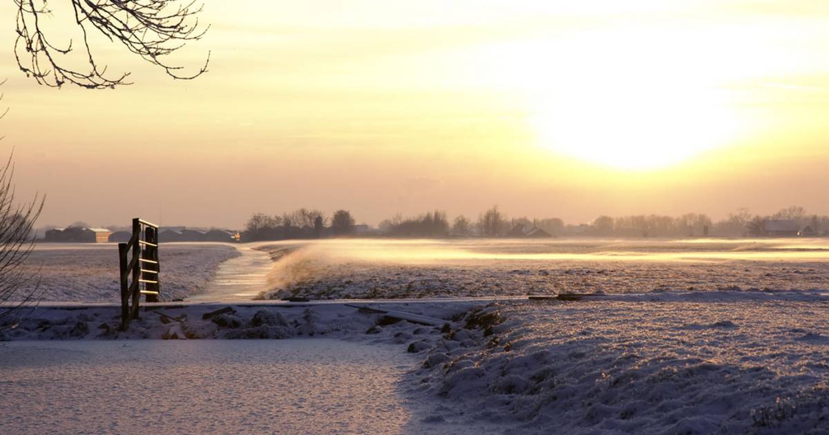 Winter Fun at Hoge Veluwe in The Netherlands - Best Time