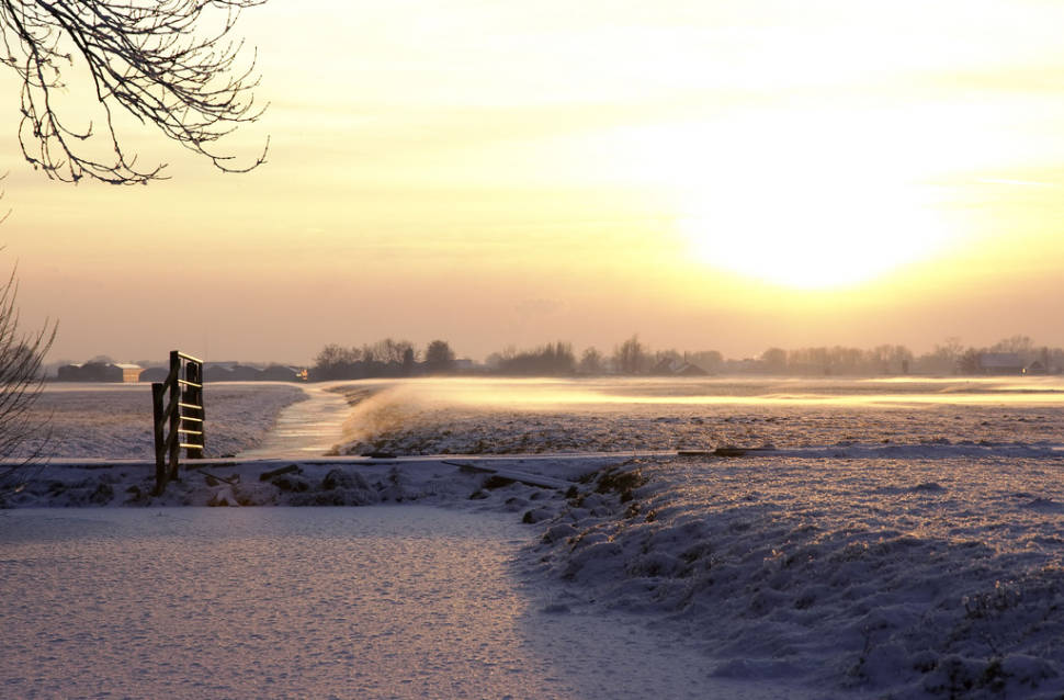 Winter Fun at Hoge Veluwe in The Netherlands - Best Time