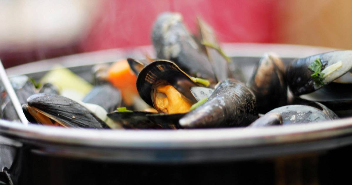 Zeeland Mussels in The Netherlands - Best Time