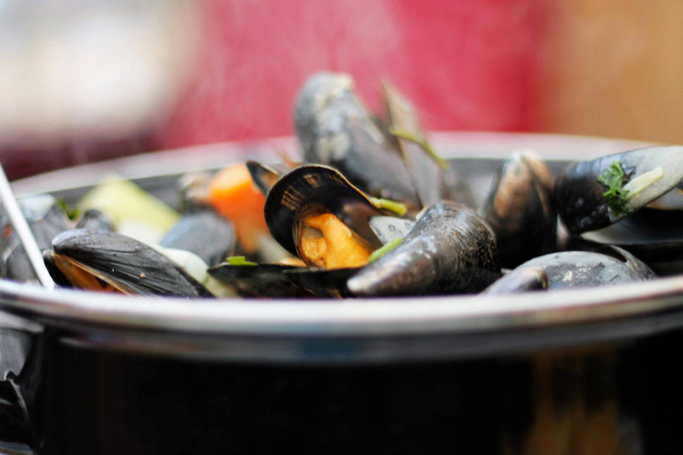 Zeeland Mussels in The Netherlands - Best Time