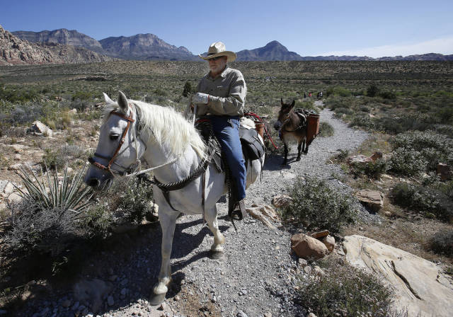 Horseback Riding through Red Rock Canyon in Nevada - Best Season