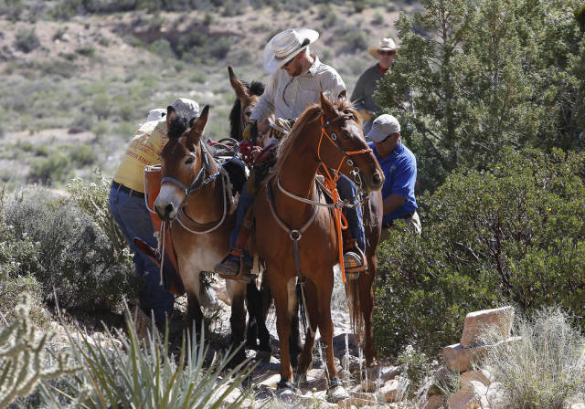Horseback Riding through Red Rock Canyon in Nevada - Best Time