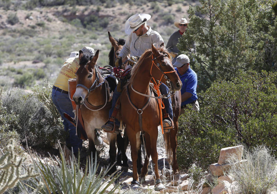 Horseback Riding through Red Rock Canyon in Nevada - Best Time