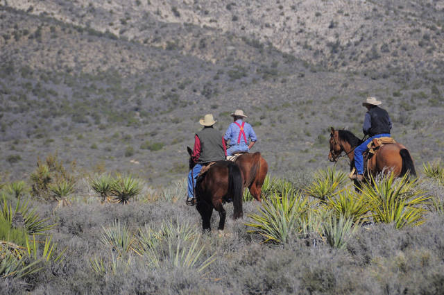 Best time for Horseback Riding through Red Rock Canyon in Nevada