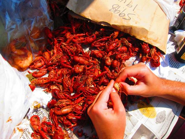 Best time for Crawfish Season in New Orleans