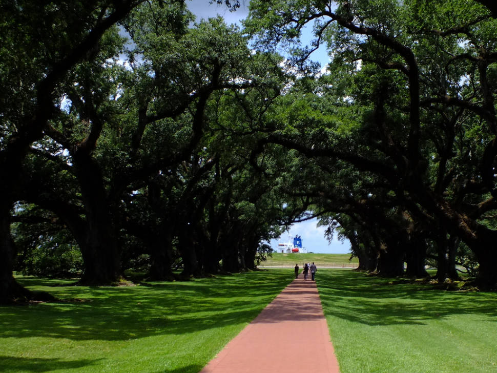 Plantation Pilgrimage in New Orleans - Best Season