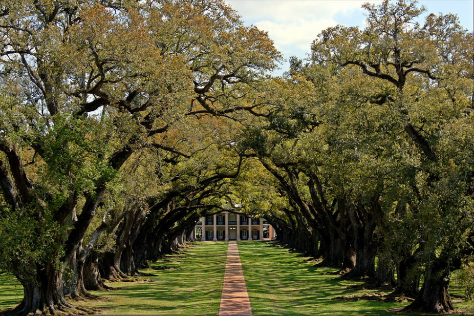 Plantation Pilgrimage in New Orleans - Best Time