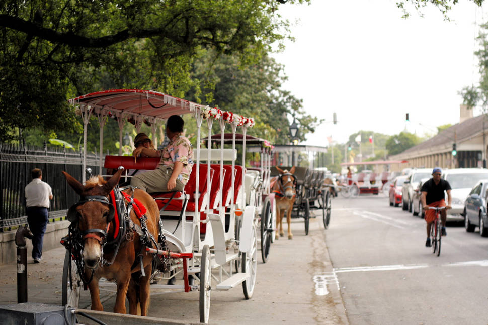 Spring in New Orleans - Best Time