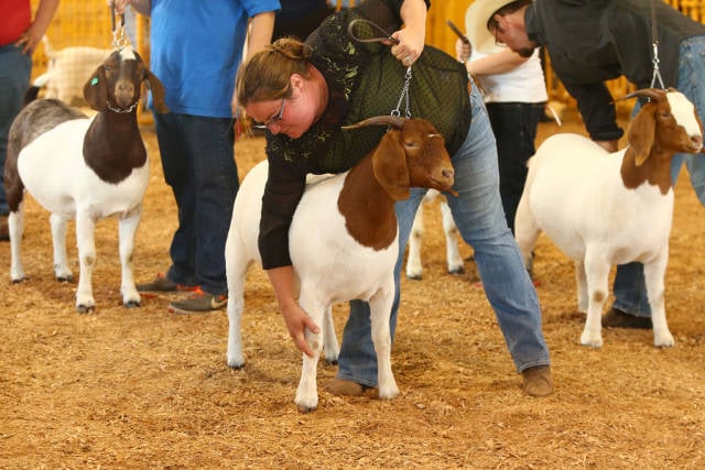 Best time for The Great New York State Fair in New York