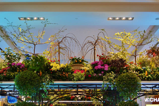 Macy's Flower Show in New York - Best Season