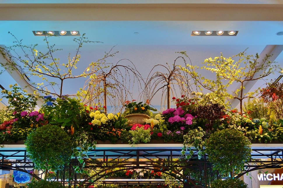 Macy's Flower Show in New York - Best Season