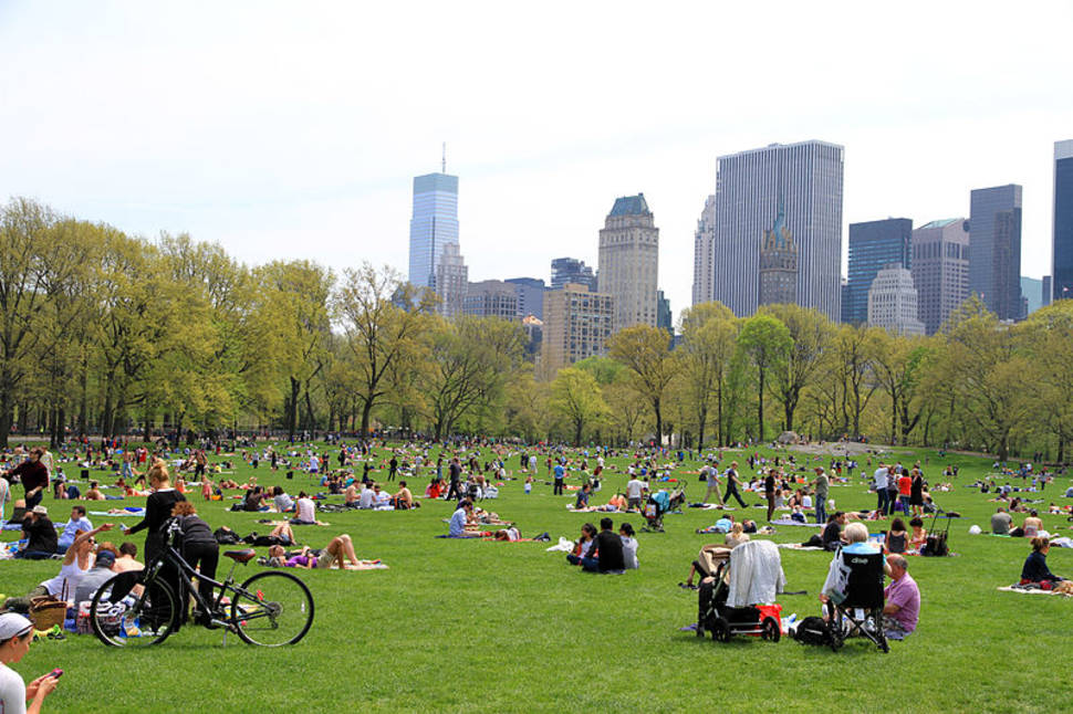 Picnic Season in Central Park in New York - Best Season