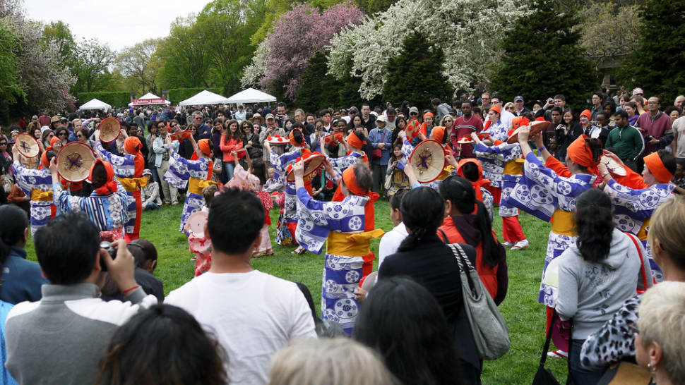 Sakura Matsuri: Cherry Blossom Festival in New York - Best Season