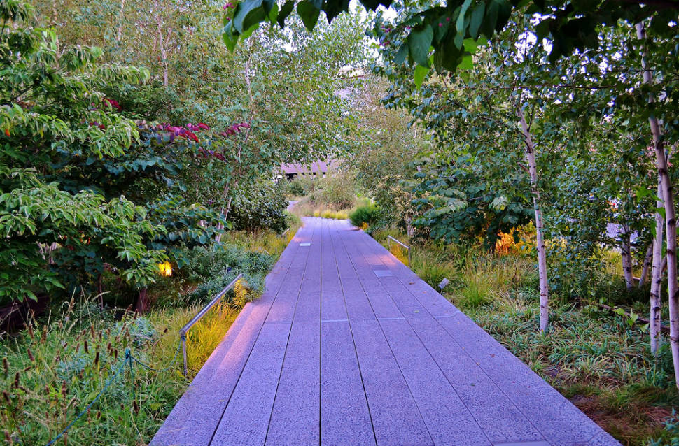 Best time for The High Line Sightseeing in New York