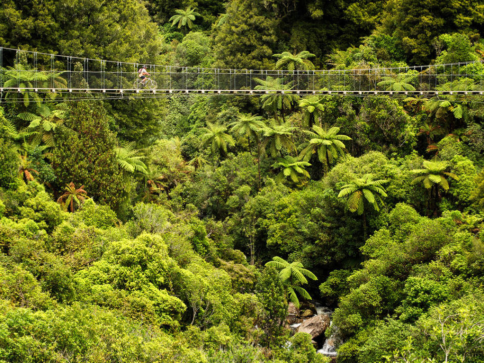 Biking in New Zealand - Best Season