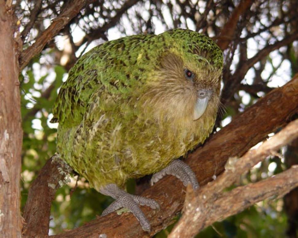 Best time for Birdwatching