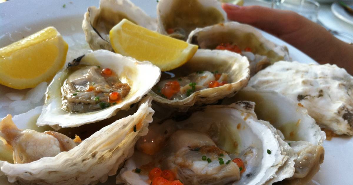 Bluff Oysters in New Zealand - Best Time