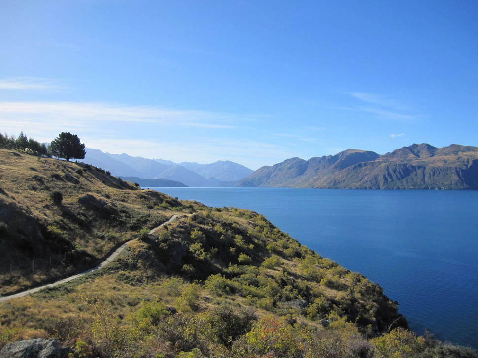 Wanaka side