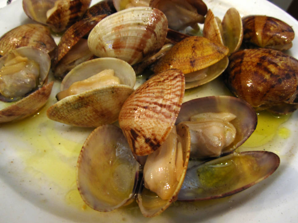 Clams in New Zealand - Best Season