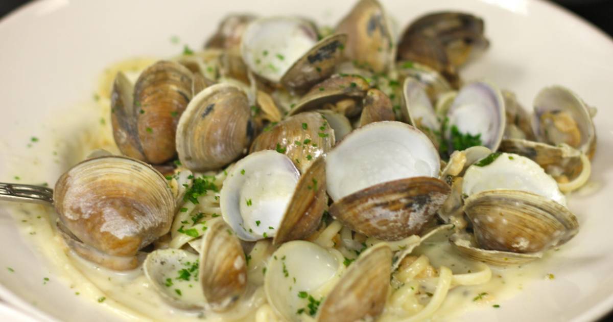 Clams in New Zealand - Best Time