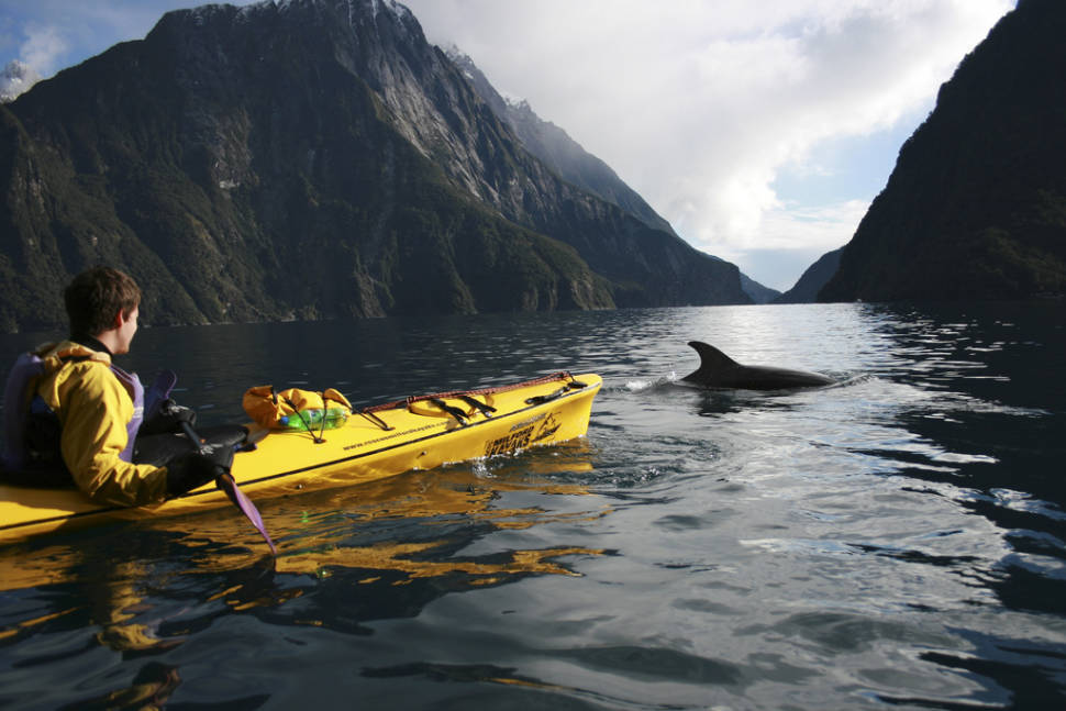 Milford Sound Kayak
